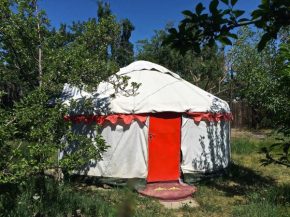Arista Yurt Camp Karakol